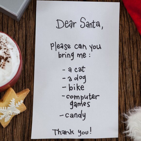 200$ New 🤩 CHRISTMAS Mystery Box (Amazon, Wholesale Liquidation Lot!) - Picture 2 of 4